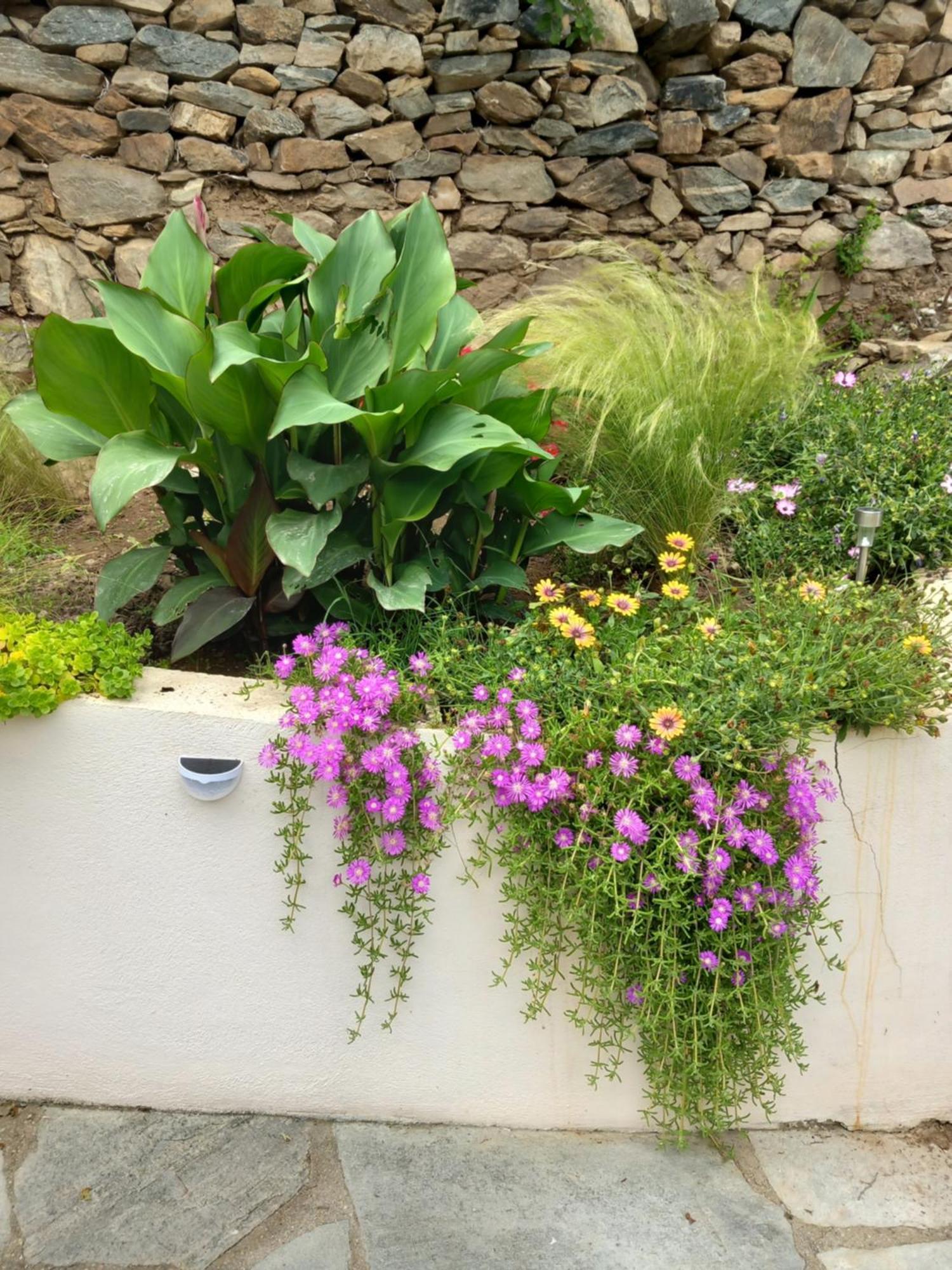 Green Meadow Elevtherai 外观 照片